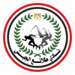 طلائع الجيش | كرة يد